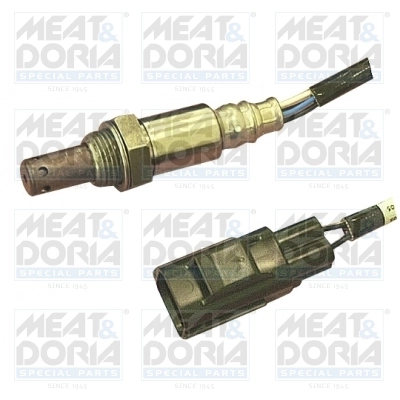 Oxygen Sensor